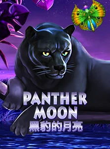 Panther Moon